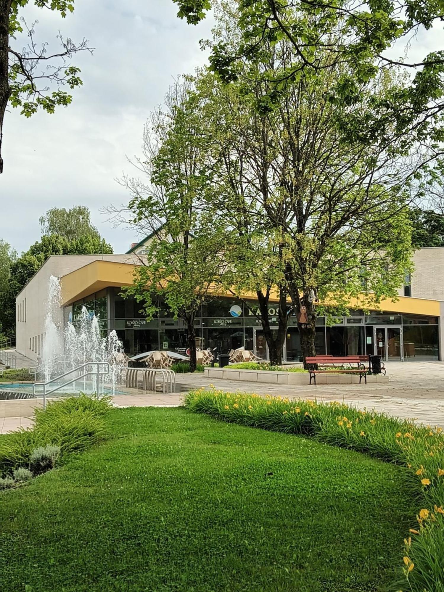 Apartament Viola Wellness Apartman Zalakaros Zewnętrze zdjęcie
